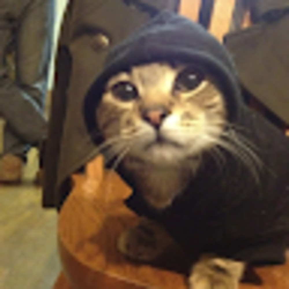 Meet your Posher, Molly mullins